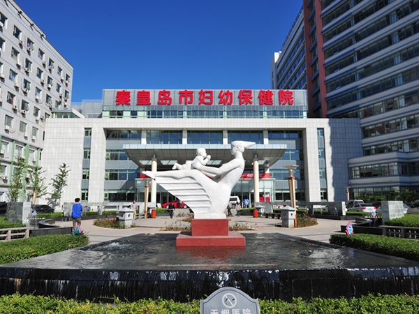 秦皇岛市妇幼保健院医疗气体智能管理平台建设